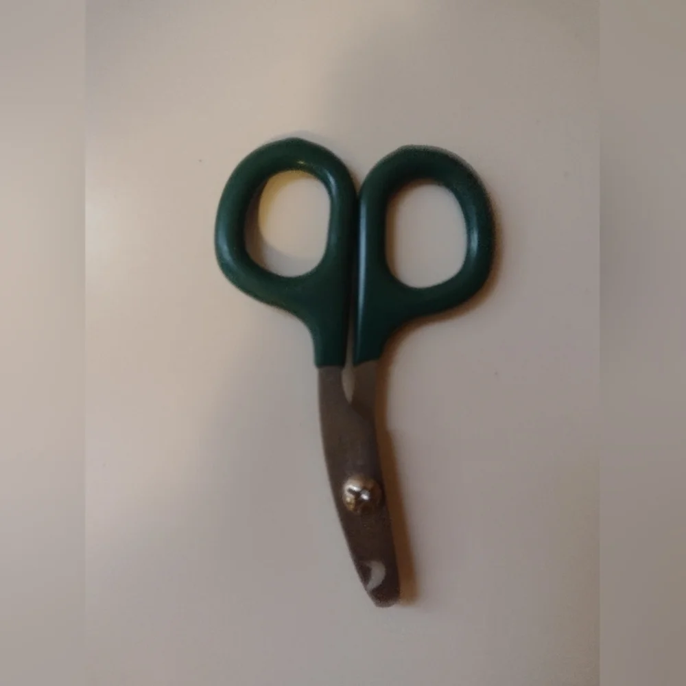 Kong Replacement Squeakers and Small Nail Clippers